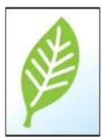 KYOCERA TASKalfa 3212i - EcoPrint - 7