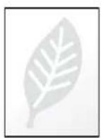 KYOCERA TASKalfa 3212i - EcoPrint - 9