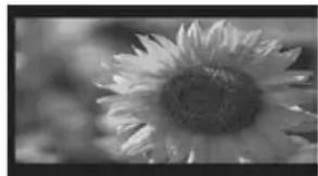 SONY Bravia KDL47R500A - Bb6op pexma ncnne - 2