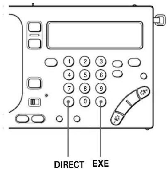 DIRECT EXE