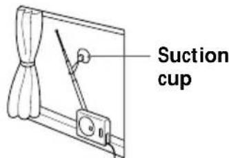 Suction cup