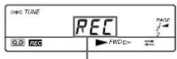 TUNE REC PAGE 3 Q.D REC FWD