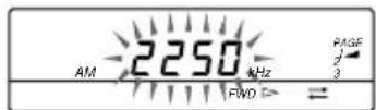 SONY ICFSW1000T - Listening to the radio—Scan tuning - 6