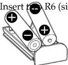 Insert into R6 (si)