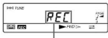 DND TUNE REC PAGE 2 3 REC FWD>