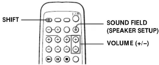 SONY SAPSD5 - Korzystanie z nocnego programatora - 1