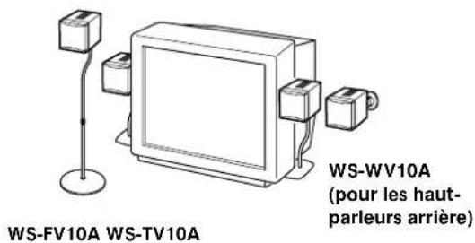 SONY SAPSD5 - Utilisation des supports de haut-parleur en option - 1