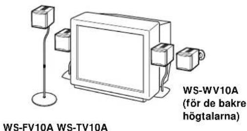 SONY SAPSD5 - Använda högtalarstativ (extra tillbehör) - 1