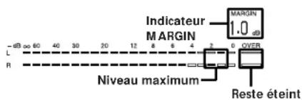 SONY DTCZE700 - Réglage du niveau d'enregistrement pour l'enregistrement analogique - 2