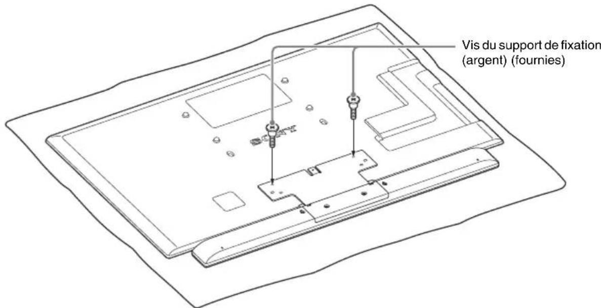 SONY WSCT550B40 - Installation de l'enceinte sur le socle - 3