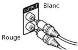 SONY SAN1 - Raccordement du câble audio - 1
