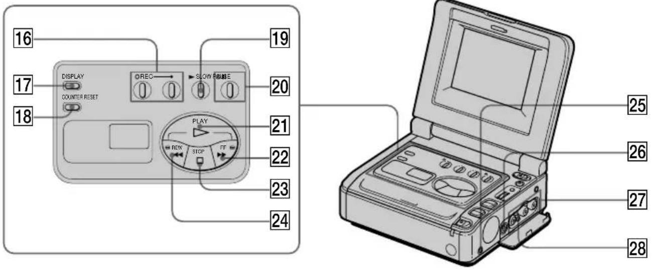 SONY GVA500E - Abmessungen - 2