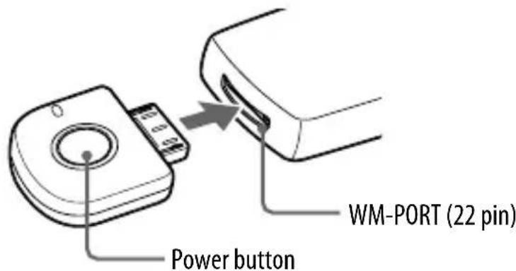 Power button WM-PORT (22 pin)