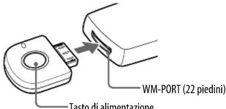 WM-PORT (22 piedini) Tasto di alimentazione