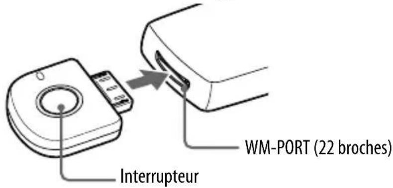 Interrupteur WM-PORT (22 broches)