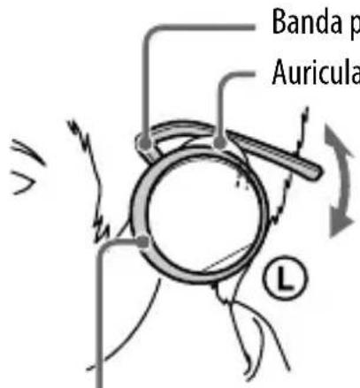 SONY WLANWB1K - Coloque la banda sobre el cuello. - 3