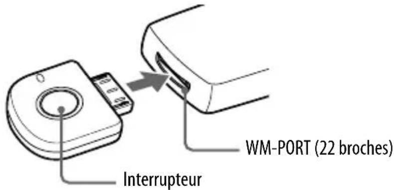 SONY WLANWB1K - Raccordement à un Walkman - 1
