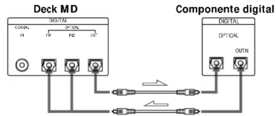 SONY MDSW1 - Quandoutilizaoscabosópticos - 1