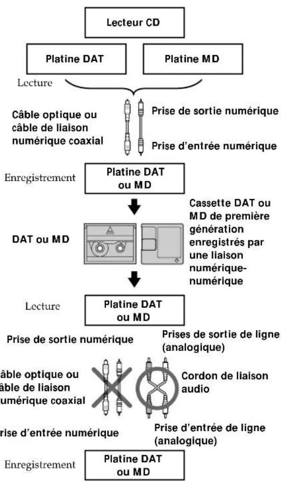 SONY MDSW1 - Système de protection contre la copie abusive - 1