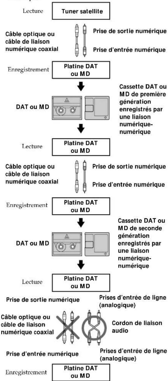 SONY MDSW1 - Système de protection contre la copie abusive - 2