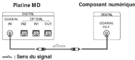 SONY MDSJ3000 - - Raccordement du câble coaxial de liaison numérique - 1