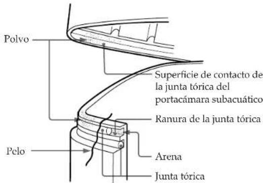 SONY MPKTRV2 - Elimie el polvo, la arena o el peso de la junta tórica - 1
