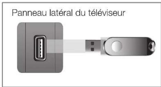 SAMSUNG UA40D5000PR - □Connexion d'un périphérique USB - 1
