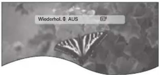 Wiederhol. AUS