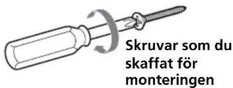 SONY SUW210 - Skruva fast de fyra skruvarna på de platser du märkte upp i steg 2 (sid. 4). - 1