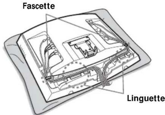 Fascette Linguette
