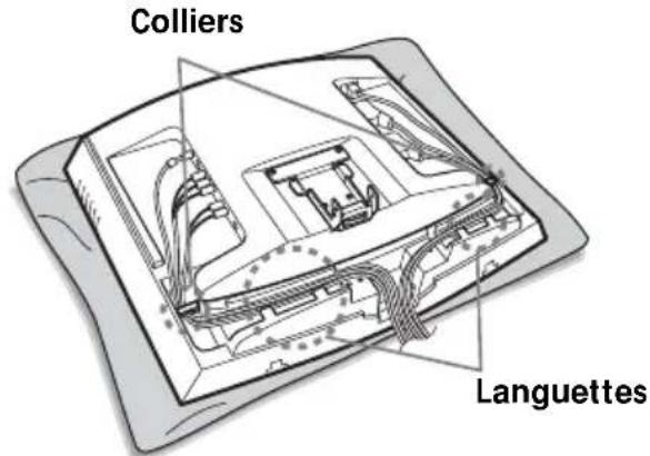 Colliers Languettes