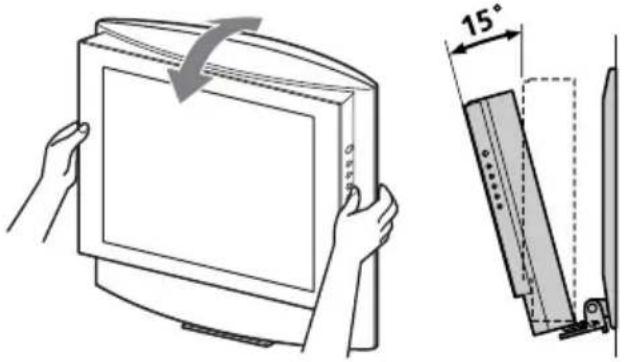 SONY SUW100 - Note - 1