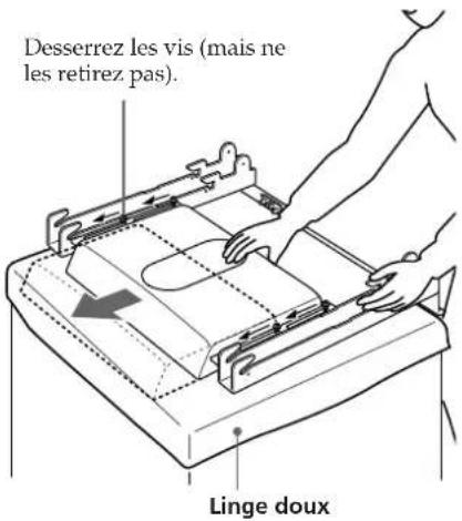 SONY SUPW3M - Modification de la position du haut-parleur d'extrêmes graves. - 1