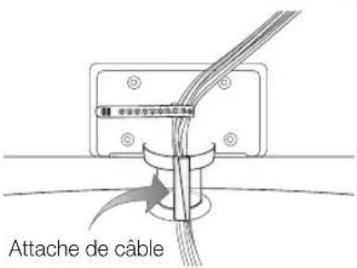 SAMSUNG LE40C750R2Z - Assemblage des câbles - 1