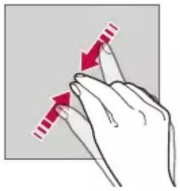 LG Wing - Pinching and spreading - 1