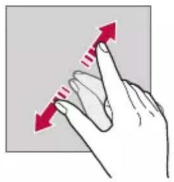 LG Wing - Pinching and spreading - 2