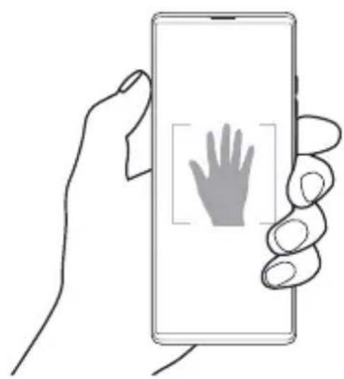 LG Wing - Scatto tramite gesto della mano - 1