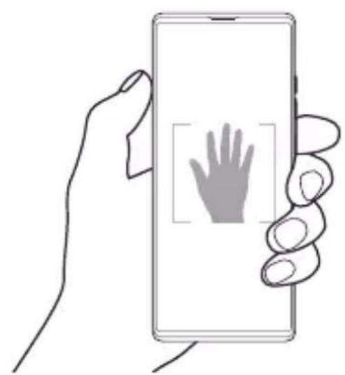 LG Wing - Opname met handgebaar - 1