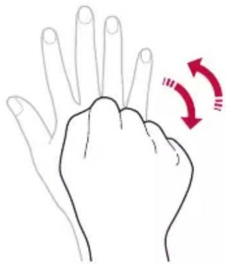 LG Wing - Scatto tramite gesto della mano - 2