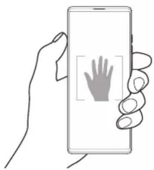 LG Wing - Cliché pris avec un geste de la main - 1