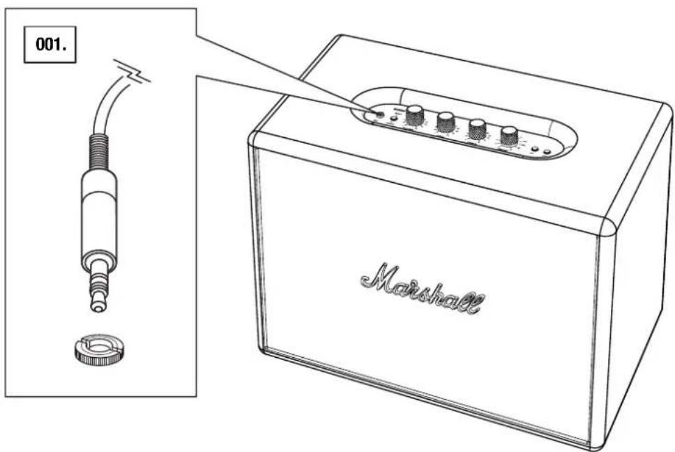 MARSHALL Woburn MultiRoom - CHOISSEZ L'UNE DES DEUX ENTREES AUDIO DISPONIBLES : - 1