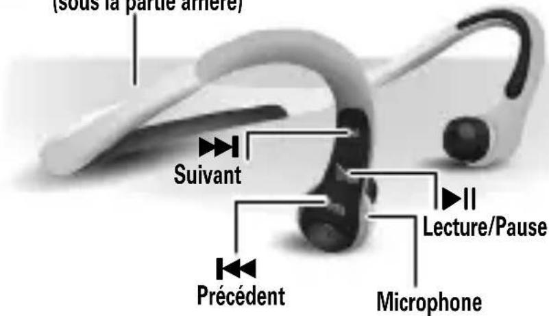 MOTOROLA S10HD - Les éléments importants - 1