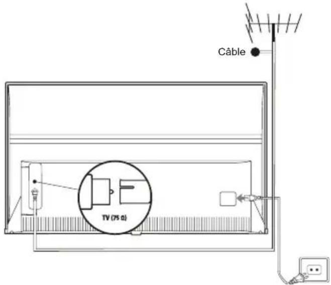 THOMSON 43UG6400 - Branchez l'alimentation et l'antenne - 1