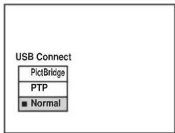 SONY CSSFEB - "USB Mode Normal" appears on the LCD screen of the camera. - 2