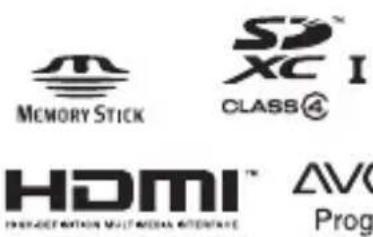 SONY ILCA77M2M - Markenzeichen - 3