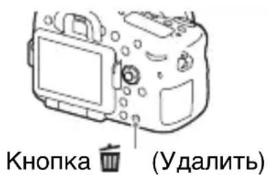 SONY ILCA77M2M - YdaJIeHne CHIMKOB - 1