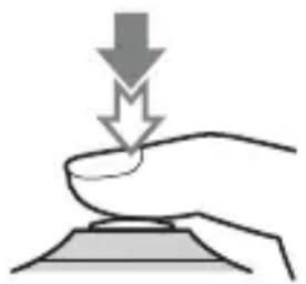 SONY ILCA77M2M - Drücken Sie den Auslöser ganz nieder, um zu fotografieren. - 1