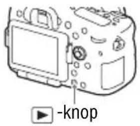SONY ILCA77M2M - Druk op de knop. - 1