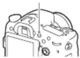 SONY ILCA77M2M - Premere il tastingo MOVIE per avviare la registrazione. - 1