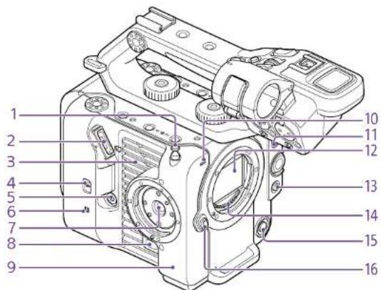 SONY ILMEFX6T - Côté gauche et côte avant - 1